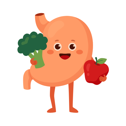 Digestion Tincture Notes