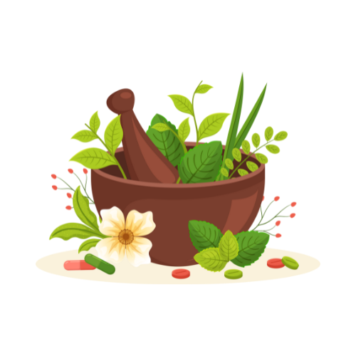 Herbal Oil Infusion Guide